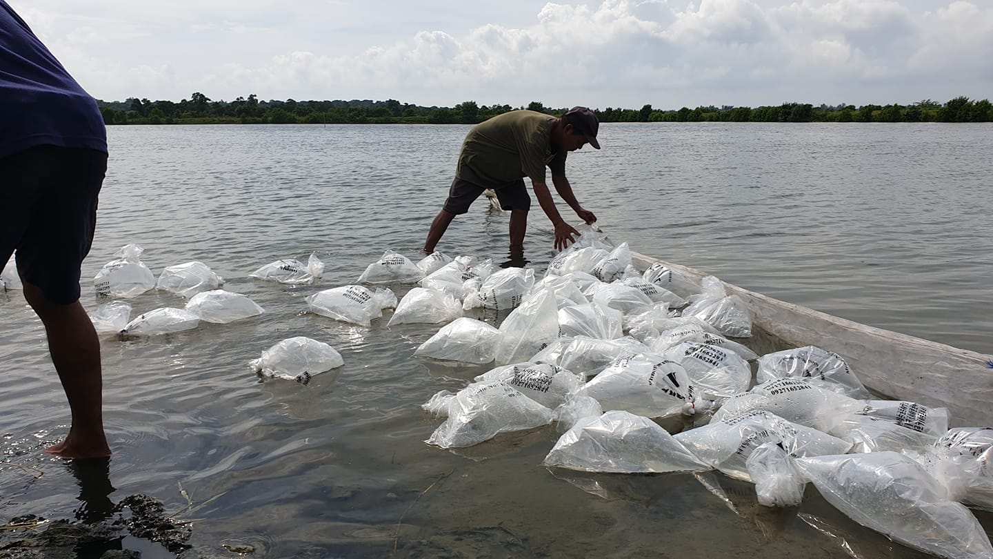 Aquaculture fingerlings in bags